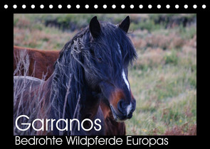 Garranos – Bedrohte Wildpferde Europas (Tischkalender 2023 DIN A5 quer) von Bengtsson/www.perlenfaenger.com,  Sabine