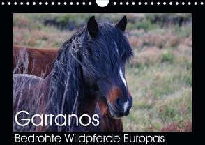 Garranos – Bedrohte Wildpferde Europas (Wandkalender 2021 DIN A4 quer) von Bengtsson/www.perlenfaenger.com,  Sabine