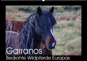 Garranos – Bedrohte Wildpferde Europas (Wandkalender 2022 DIN A2 quer) von Bengtsson/www.perlenfaenger.com,  Sabine