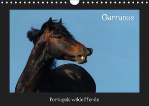 Garranos (Wandkalender 2019 DIN A4 quer) von Lampert,  Claudia