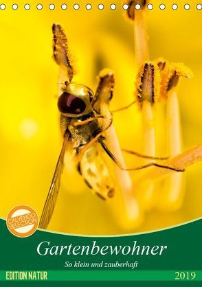 Gartenbewohner – so klein und zauberhaft (Tischkalender 2019 DIN A5 hoch) von Samashy