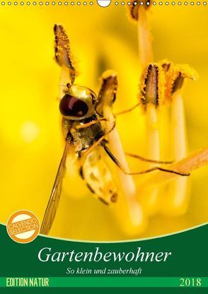 Gartenbewohner – so klein und zauberhaft (Wandkalender 2018 DIN A3 hoch) von Samashy