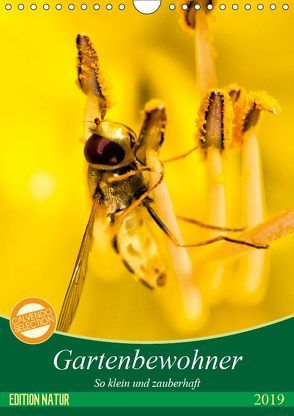 Gartenbewohner – so klein und zauberhaft (Wandkalender 2019 DIN A4 hoch) von Samashy