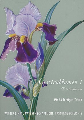 Gartenblumen / Frühlingsblumen von Klein,  Ludwig, Rauh,  Werner