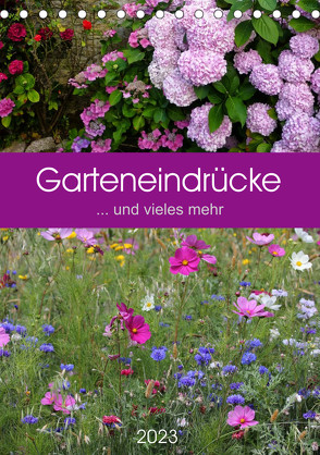 Garteneindrücke (Tischkalender 2023 DIN A5 hoch) von Falke,  Manuela