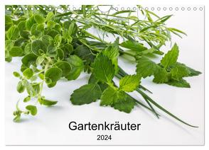 Gartenkräuter (Wandkalender 2024 DIN A4 quer), CALVENDO Monatskalender von Eiben,  Andrea