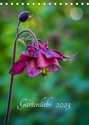 Gartenliebe (Tischkalender 2023 DIN A5 hoch) von Gartenchaosliebe