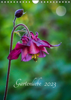 Gartenliebe (Wandkalender 2023 DIN A4 hoch) von Gartenchaosliebe