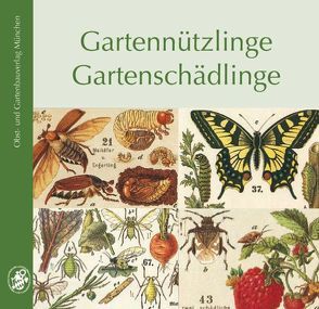 Gartennützlinge – Gartenschädlinge