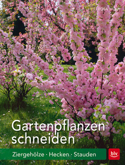 Gartenpflanzen schneiden von Wolf,  Rosa