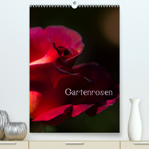 Gartenrosen (Premium, hochwertiger DIN A2 Wandkalender 2023, Kunstdruck in Hochglanz) von Renken,  Erwin