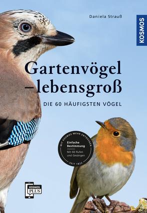 Gartenvögel lebensgroß von Strauß,  Daniela