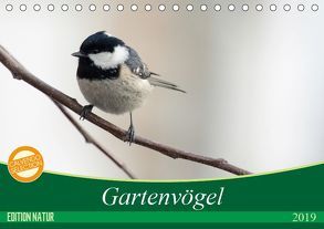 Gartenvögel (Tischkalender 2019 DIN A5 quer) von - Romy Schötz,  Samashy