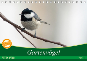 Gartenvögel (Tischkalender 2021 DIN A5 quer) von - Romy Schötz,  Samashy