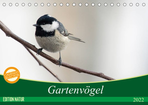 Gartenvögel (Tischkalender 2022 DIN A5 quer) von - Romy Schötz,  Samashy