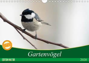 Gartenvögel (Wandkalender 2020 DIN A4 quer) von - Romy Schötz,  Samashy