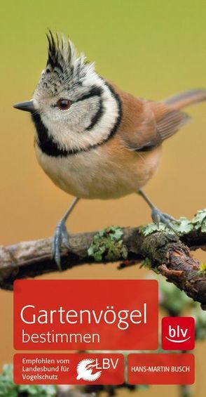 Gartenvögel bestimmen von Busch,  Hans-Martin