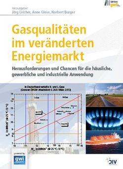 Gasqualitäten im veränderten Energiemarkt von Burger,  Norbert, Giese,  Anne, Leicher,  Jörg