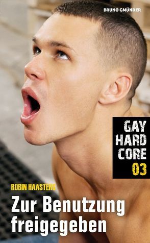 Gay Hardcore 03: Zur Benutzung freigegeben von Haasters,  Robin