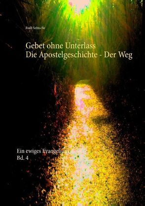 Gebet ohne Unterlass – Die Apostelgeschichte – Der Weg von Seinsche,  Rudi