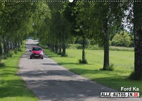 Gebremster Ka-rakter (Wandkalender 2019 DIN A2 quer) von Wolff,  Juergen
