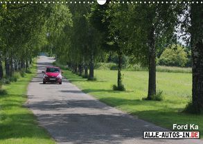 Gebremster Ka-rakter (Wandkalender 2019 DIN A3 quer) von Wolff,  Juergen