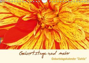 Geburtstage und mehr – Geburtstagskalender „Dahlia“ (Wandkalender immerwährend DIN A4 quer) von Kruit,  Arie