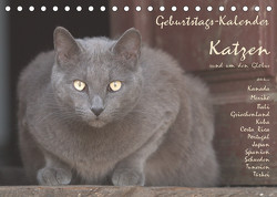 Geburtstags-Kalender Katzen… rund um den Globus (Tischkalender 2023 DIN A5 quer) von Rech,  Wolfgang