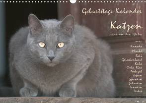 Geburtstags-Kalender Katzen… rund um den Globus (Wandkalender 2021 DIN A3 quer) von Rech,  Wolfgang