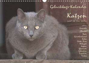 Geburtstags-Kalender Katzen… rund um den Globus (Wandkalender 2022 DIN A3 quer) von Rech,  Wolfgang