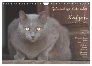 Geburtstags-Kalender Katzen… rund um den Globus (Wandkalender 2024 DIN A4 quer), CALVENDO Monatskalender von Rech,  Wolfgang