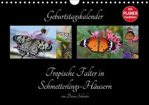 Geburtstagskalender Tropische Falter in Schmetterlings-Häusern (Wandkalender 2018 DIN A4 quer) von Schröder,  Diana