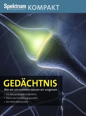 Gedächtnis