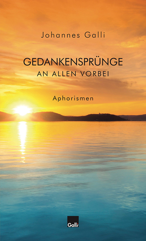 Gedankensprünge an allen vorbei (Band 8) von Galli,  Johannes