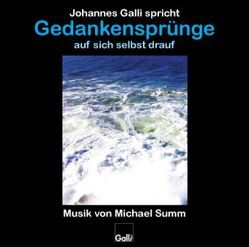 Gedankensprünge auf sich selbst drauf (CD 5) von Galli,  Johannes, Summ,  Michael