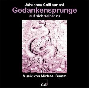 Gedankensprünge auf sich selbst zu (CD 1) von Galli,  Johannes, Summ,  Michael