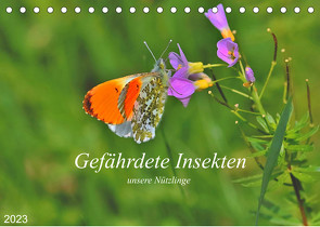 Gefährdete Insekten – unsere Nützlinge (Tischkalender 2023 DIN A5 quer) von Thoss,  Michael