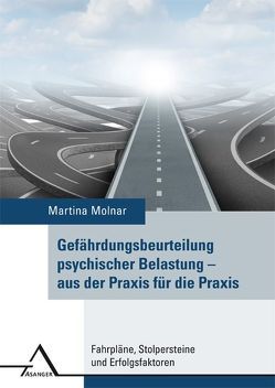 Gefährdungsbeurteilung psychischer Belastung – aus der Praxis für die Praxis von Molnar,  Martina