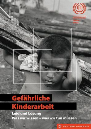 Gefährliche Kinderarbeit – Leid und Lösung