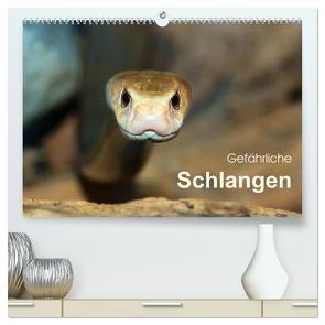 Gefährliche Schlangen (hochwertiger Premium Wandkalender 2024 DIN A2 quer), Kunstdruck in Hochglanz von Herzog,  Michael