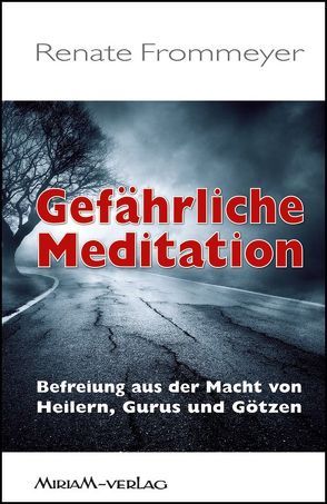 Gefährliche Meditation von Frommeyer,  Renate