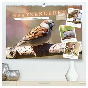 Gefiederte Gartengäste, Spatzenleben (hochwertiger Premium Wandkalender 2024 DIN A2 quer), Kunstdruck in Hochglanz von Löwer,  Sabine