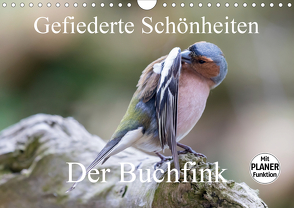 Gefiederte Schönheiten – Der Buchfink (Wandkalender 2021 DIN A4 quer) von Poetsch,  Rolf