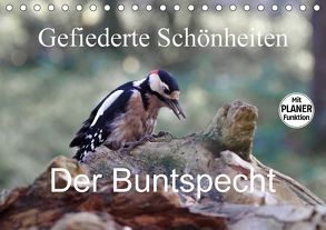 Gefiederte Schönheiten – Der Buntspecht (Tischkalender 2018 DIN A5 quer) von Poetsch,  Rolf