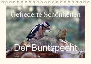 Gefiederte Schönheiten – Der Buntspecht (Tischkalender 2018 DIN A5 quer) von Poetsch,  Rolf