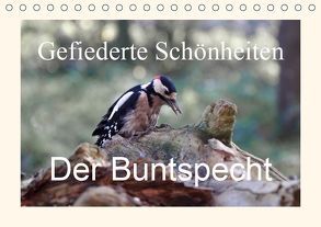 Gefiederte Schönheiten – Der Buntspecht (Tischkalender 2019 DIN A5 quer) von Poetsch,  Rolf