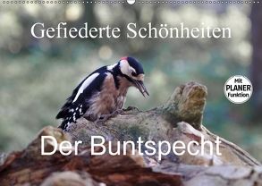 Gefiederte Schönheiten – Der Buntspecht (Wandkalender 2018 DIN A2 quer) von Poetsch,  Rolf