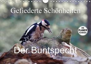 Gefiederte Schönheiten – Der Buntspecht (Wandkalender 2018 DIN A4 quer) von Poetsch,  Rolf