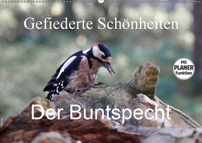 Gefiederte Schönheiten – Der Buntspecht (Wandkalender 2019 DIN A2 quer) von Poetsch,  Rolf