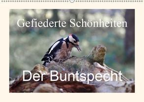 Gefiederte Schönheiten – Der Buntspecht (Wandkalender 2019 DIN A2 quer) von Poetsch,  Rolf